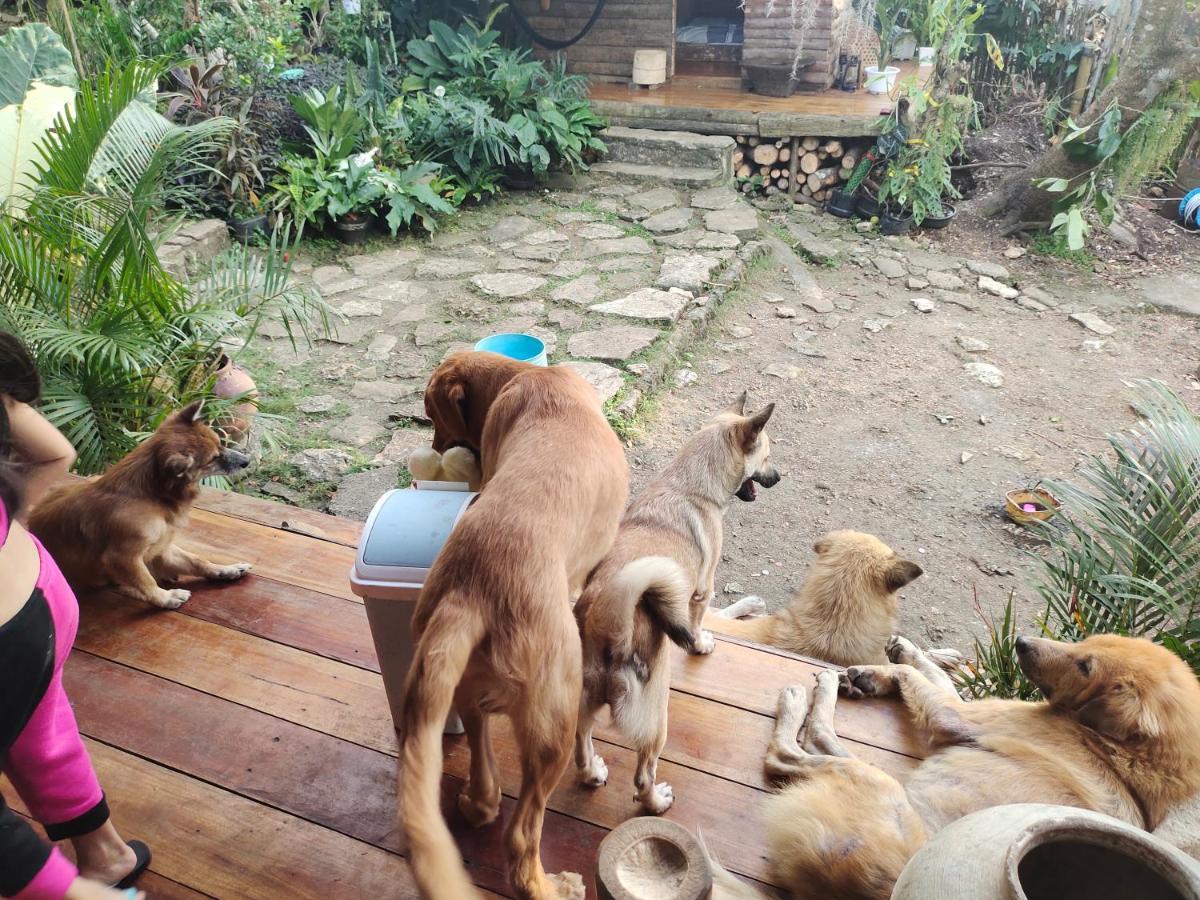 Hotel Payag N' Kapitan, Experience Pinubre Living Siquijor Exteriér fotografie